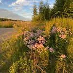 Stary Mlyn Nad Tywa Agroturismo *