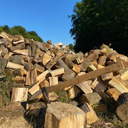 Stary Mlyn Nad Tywa Alojamento de Turismo Rural