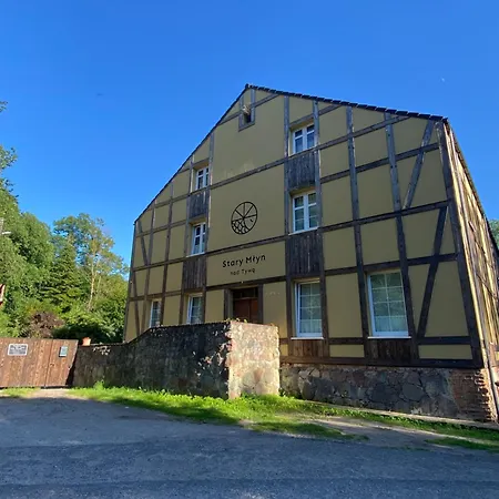 Stary Młyn Nad Tywą