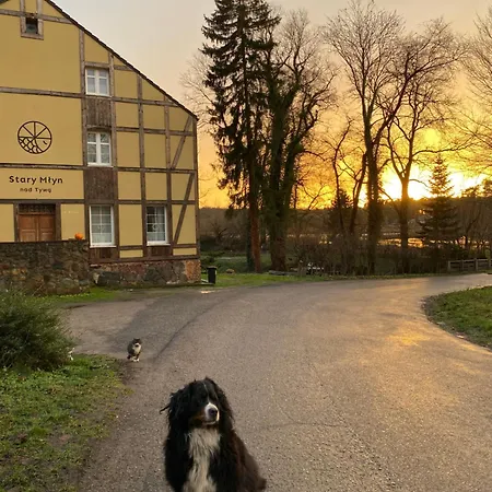 Stary Mlyn Nad Tywa Lantgård Gryfino