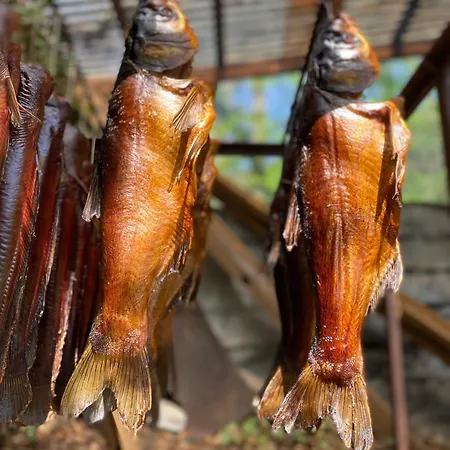 Gospodarstwo agroturystyczne Stary Młyn Nad Tywą Gryfino