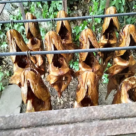 Stary Mlyn Nad Tywa Alojamento de Turismo Rural