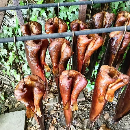 Stary Mlyn Nad Tywa Gryfino