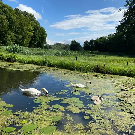 Vakantieboerderij Stary Mlyn Nad Tywa *