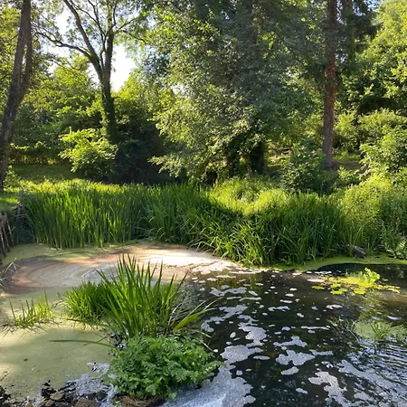 Stary Mlyn Nad Tywa *