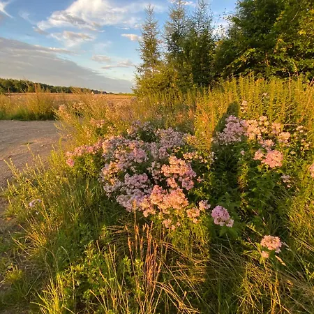 Stary Mlyn Nad Tywa Alojamento de Turismo Rural *