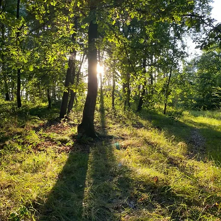 Stary Mlyn Nad Tywa Gryfino