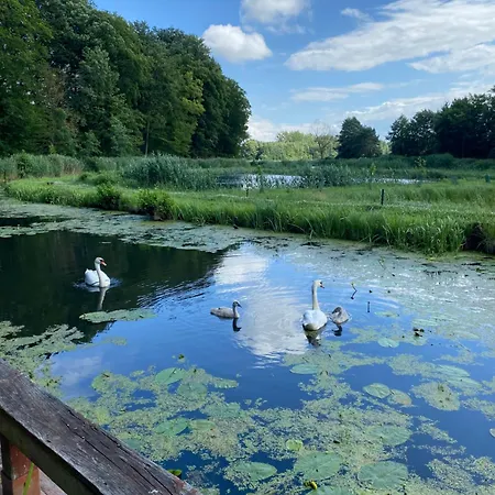 Stary Mlyn Nad Tywa Vakantieboerderij
