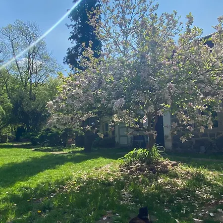 Stary Młyn Nad Tywą *