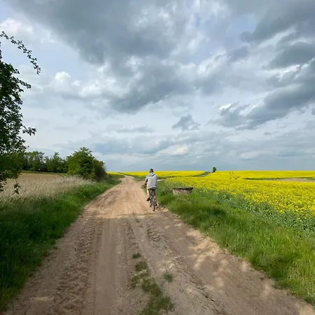 Stary Mlyn Nad Tywa Vakantieboerderij *