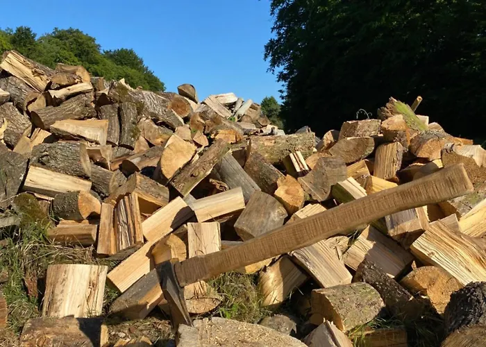 Stary Mlyn Nad Tywa Agroturismo