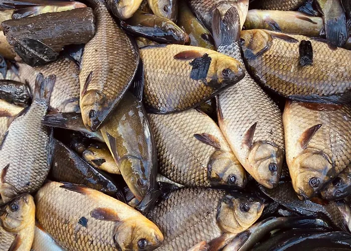 Agroturismo Stary Mlyn Nad Tywa Gryfino