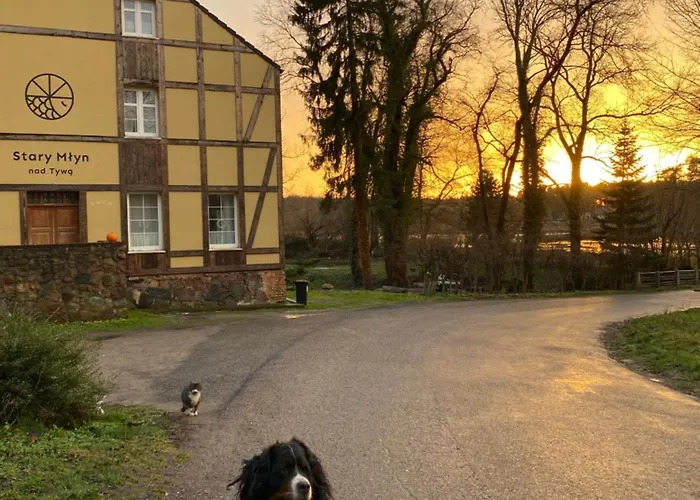 Stary Mlyn Nad Tywa Agroturismo Gryfino