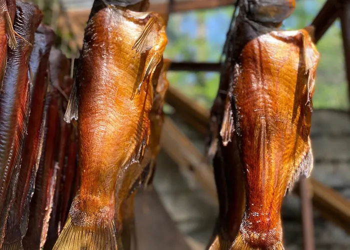 Farma Stary Mlyn Nad Tywa Gryfino