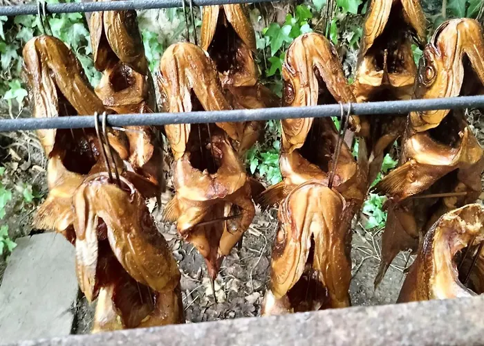 Stary Mlyn Nad Tywa Farma