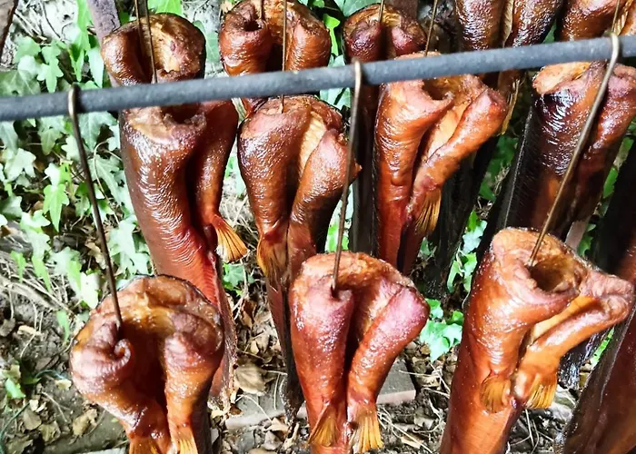 Stary Mlyn Nad Tywa Gryfino