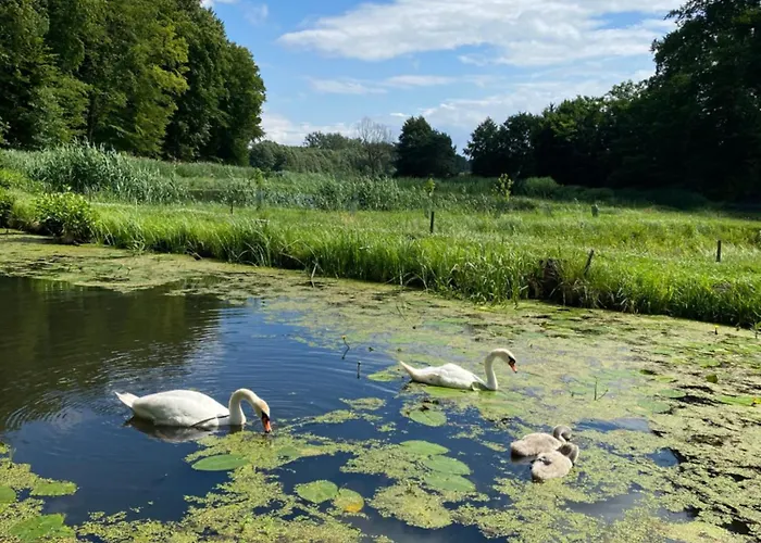 Farma Stary Mlyn Nad Tywa *