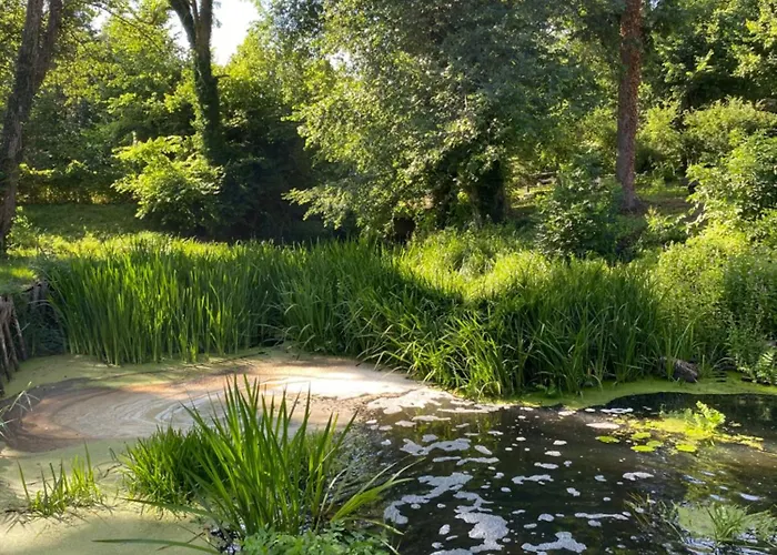 Stary Mlyn Nad Tywa *