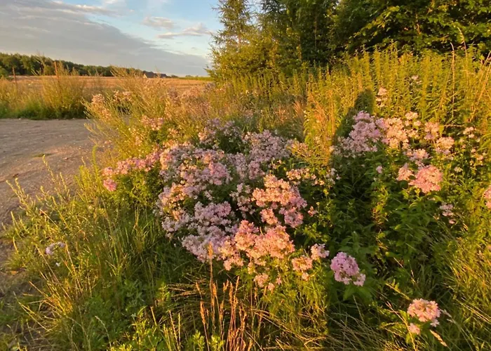 Stary Mlyn Nad Tywa Séjour à la ferme *