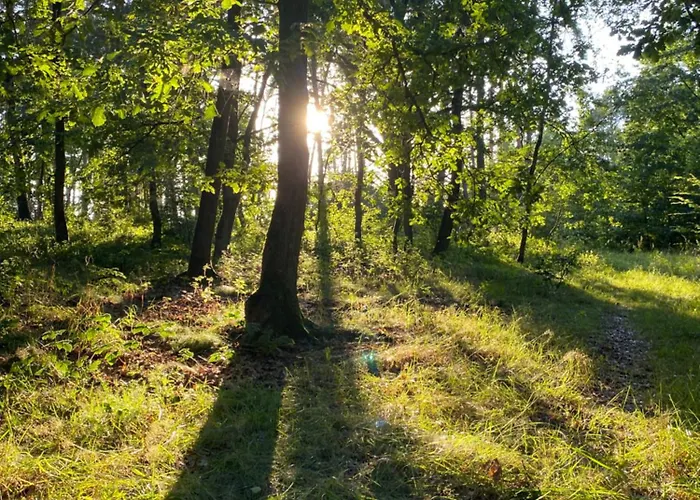 Stary Mlyn Nad Tywa Gryfino
