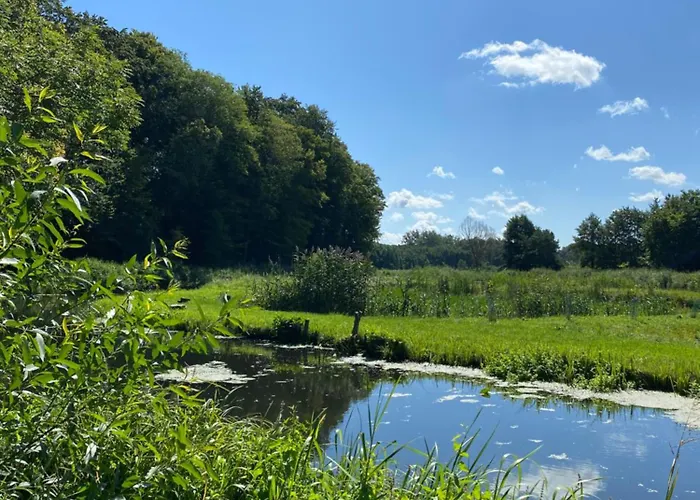 Stary Mlyn Nad Tywa Gryfino