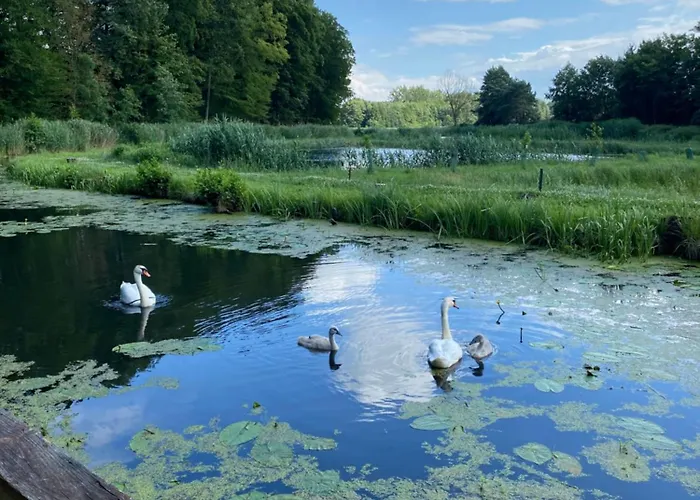 Stary Mlyn Nad Tywa Agroturismo