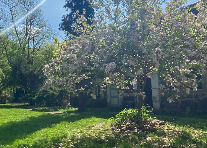 Stary Mlyn Nad Tywa *