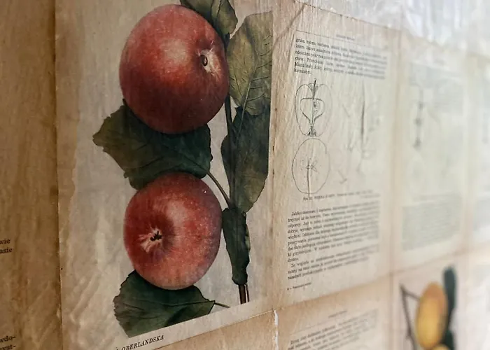 Stary Mlyn Nad Tywa Farma